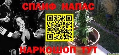 ешки Пугачёв