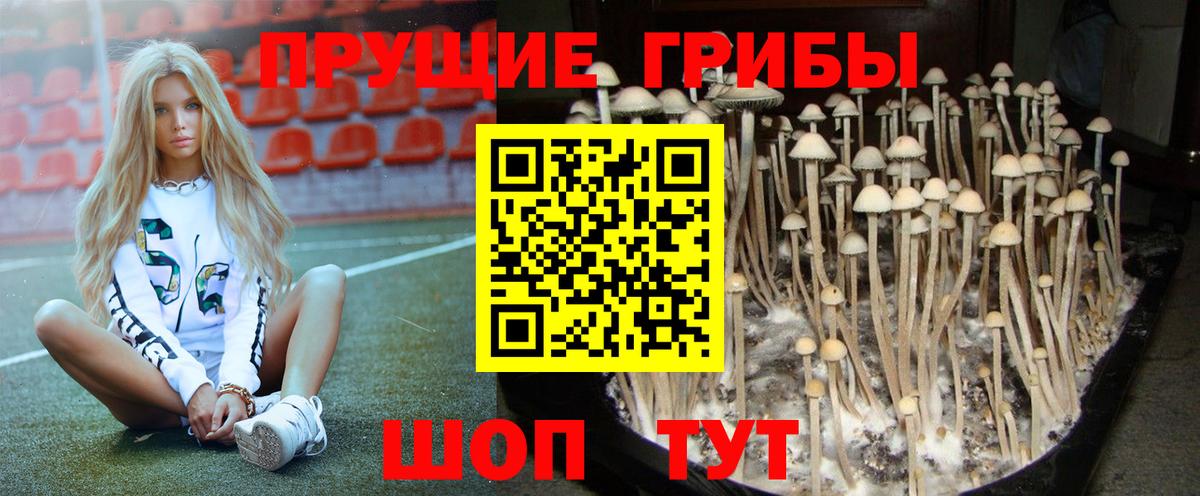 Симферополь  Галлюциногенные грибы MAGIC MUSHROOMS  Вход с VPN 